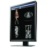 Монитор Медицински монитор EIZO RadiForce MX216-SB 2MP Цветен 3