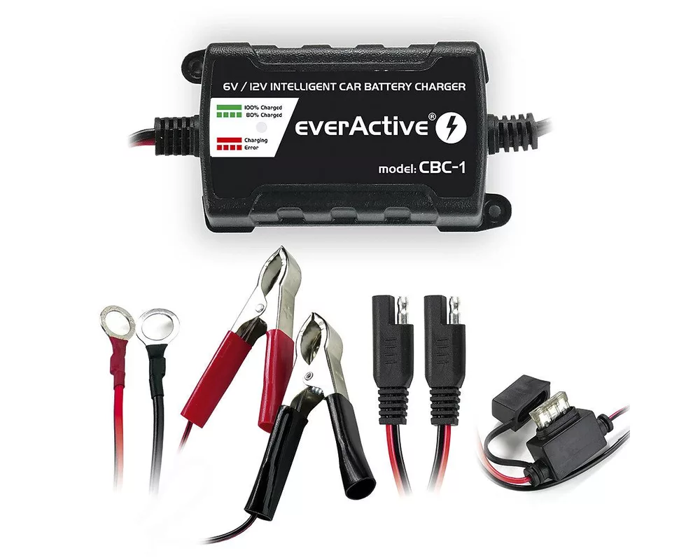 Зарядно  процесорно устройство  6V/12V everActive CBC-1 v2  до 1А за автомобили и мотоциклети 2