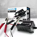 Зарядно  процесорно устройство  6V/12V everActive CBC-1 v2  до 1А за автомобили и мотоциклети 5